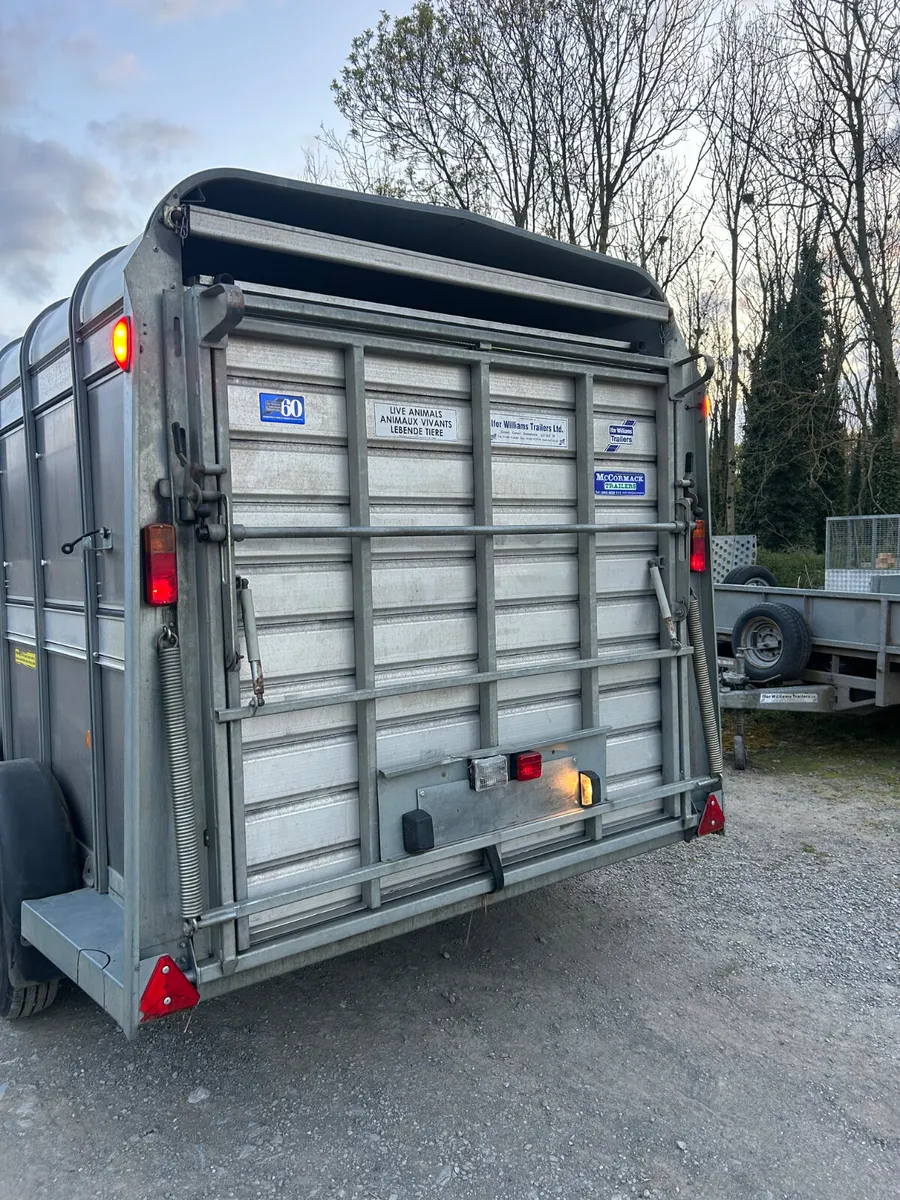 2019 Ifor Williams 12x6 with Sheep Decks - Image 3