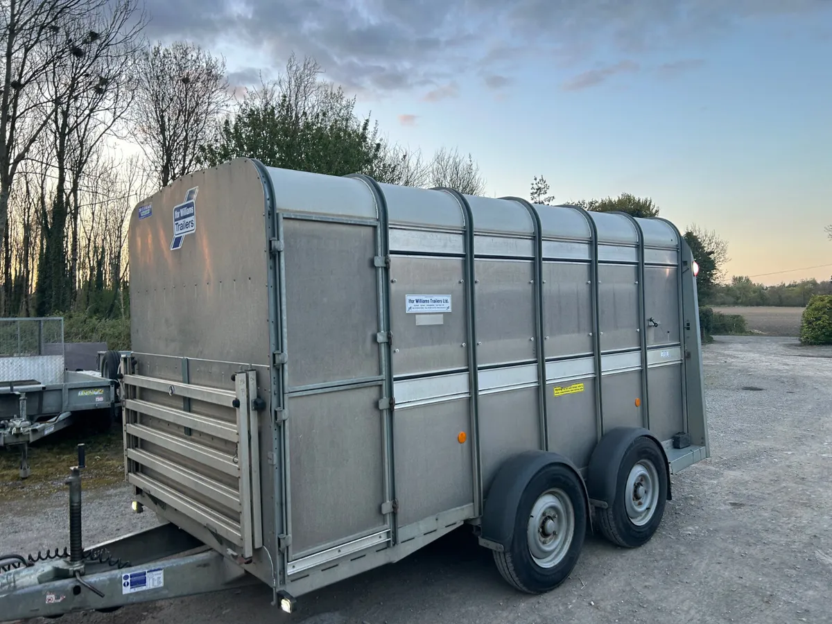 2019 Ifor Williams 12x6 with Sheep Decks - Image 1