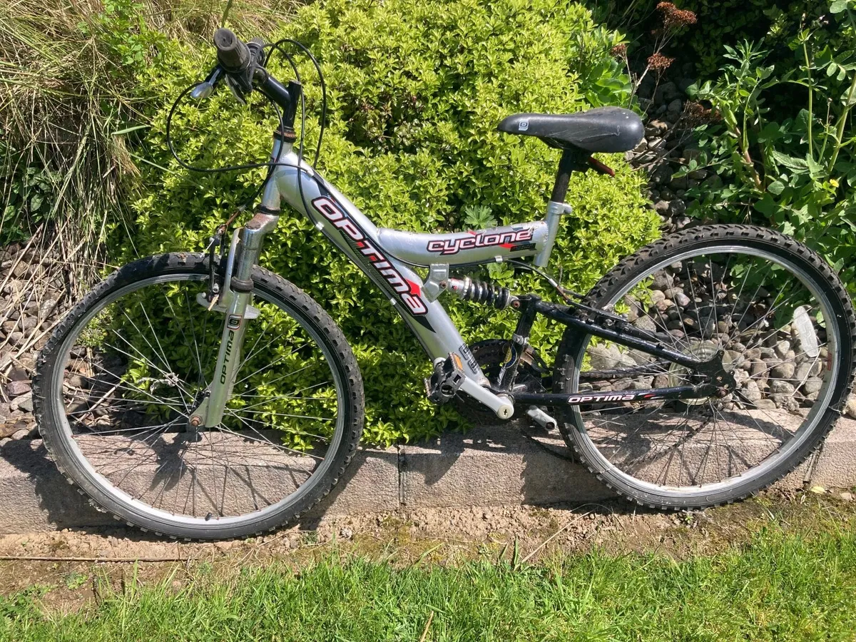 Bikes 3 adults and 1 child - Image 1