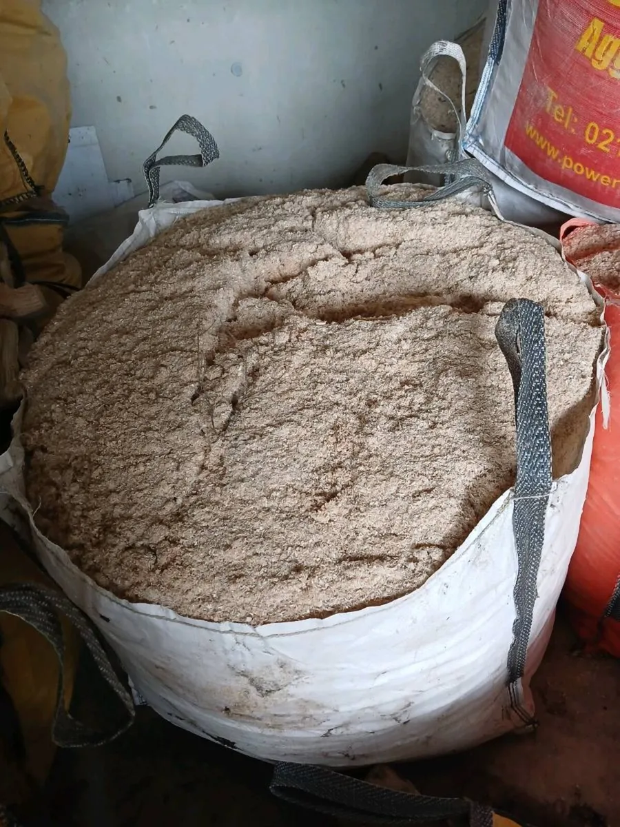 Sawdust - Image 3