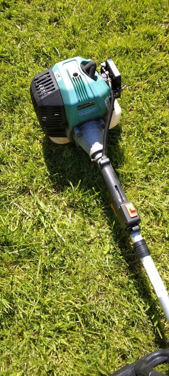 Powerfull strimmer. - Image 1