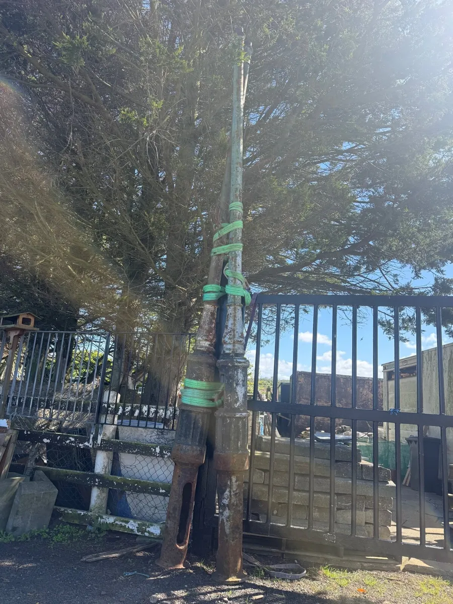 Three tall Victorian lamp posts. - Image 3