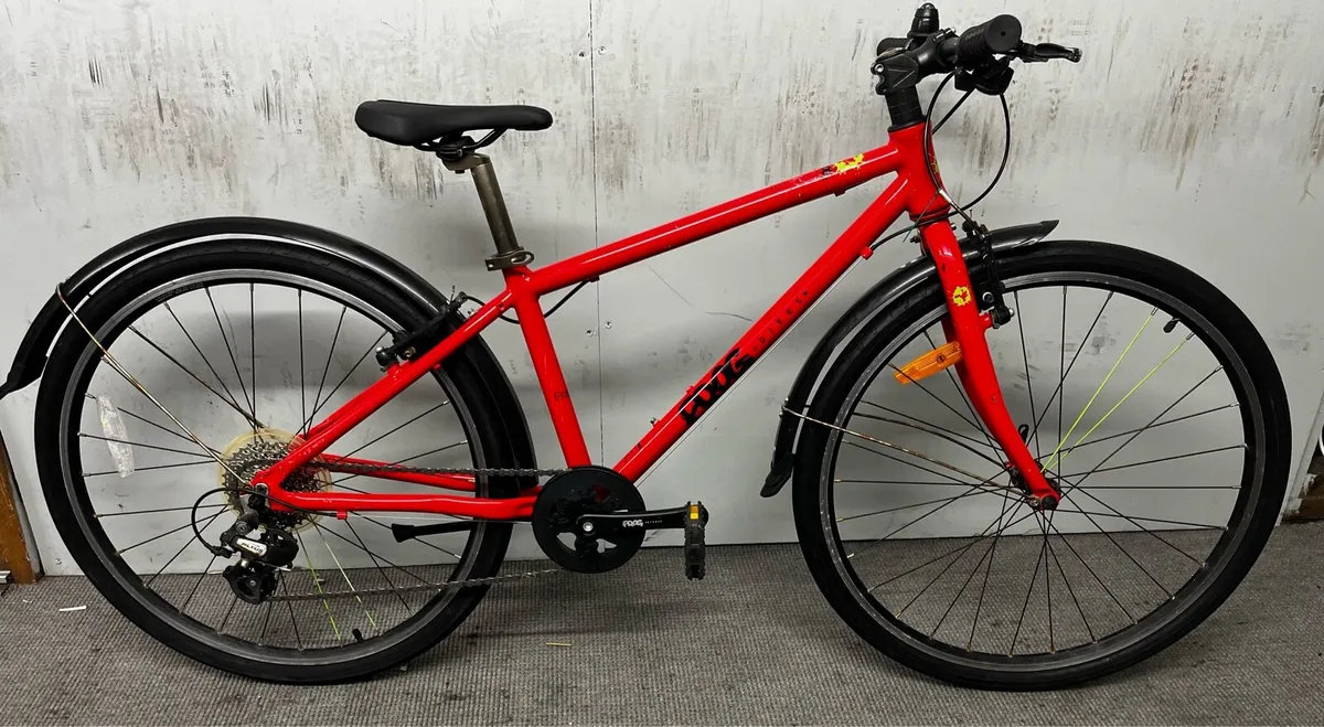 Frog bike - Image 1