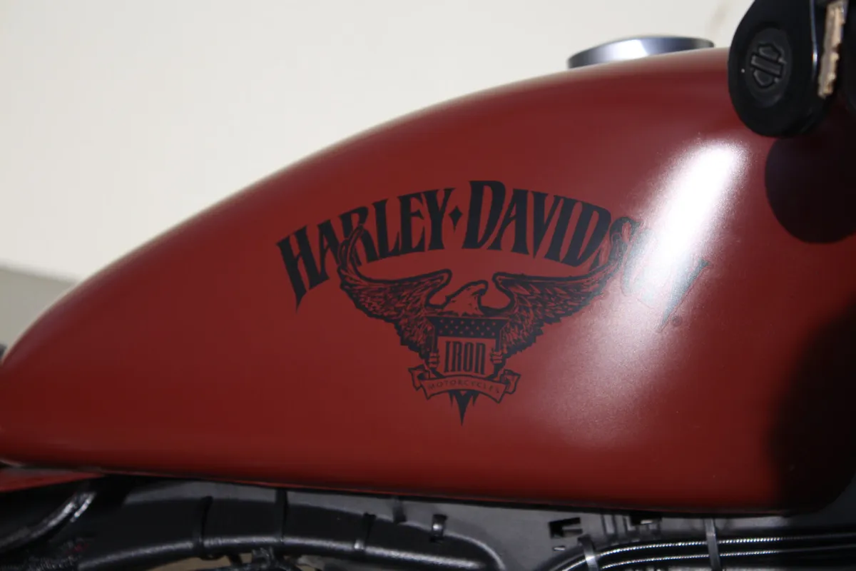 2017 Harley Davidson 883 Sportster - Image 4