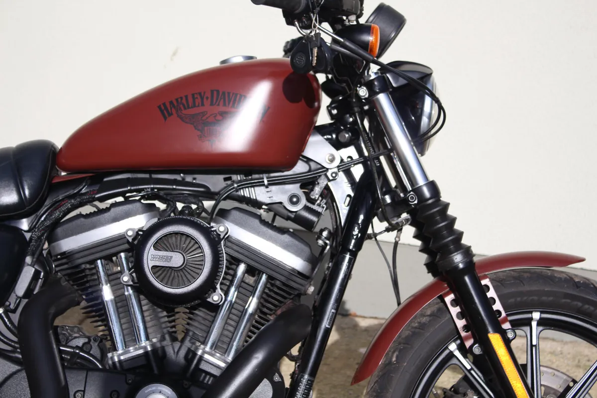 2017 Harley Davidson 883 Sportster - Image 3