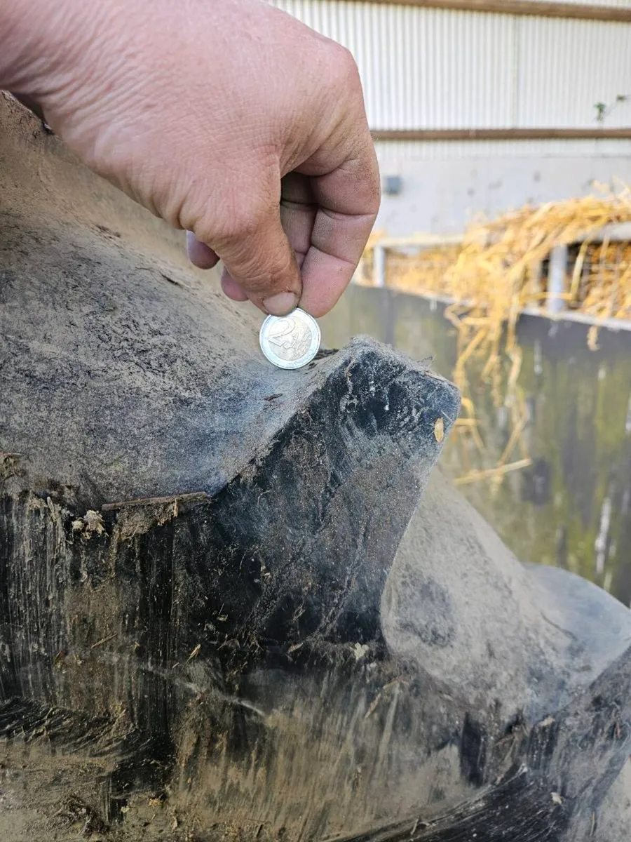 2 tractor tyres - Image 3
