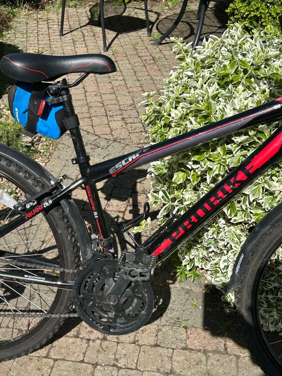 Kid’s Mountain Bike - Image 3