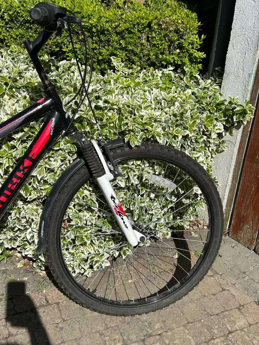 Kid’s Mountain Bike - Image 4