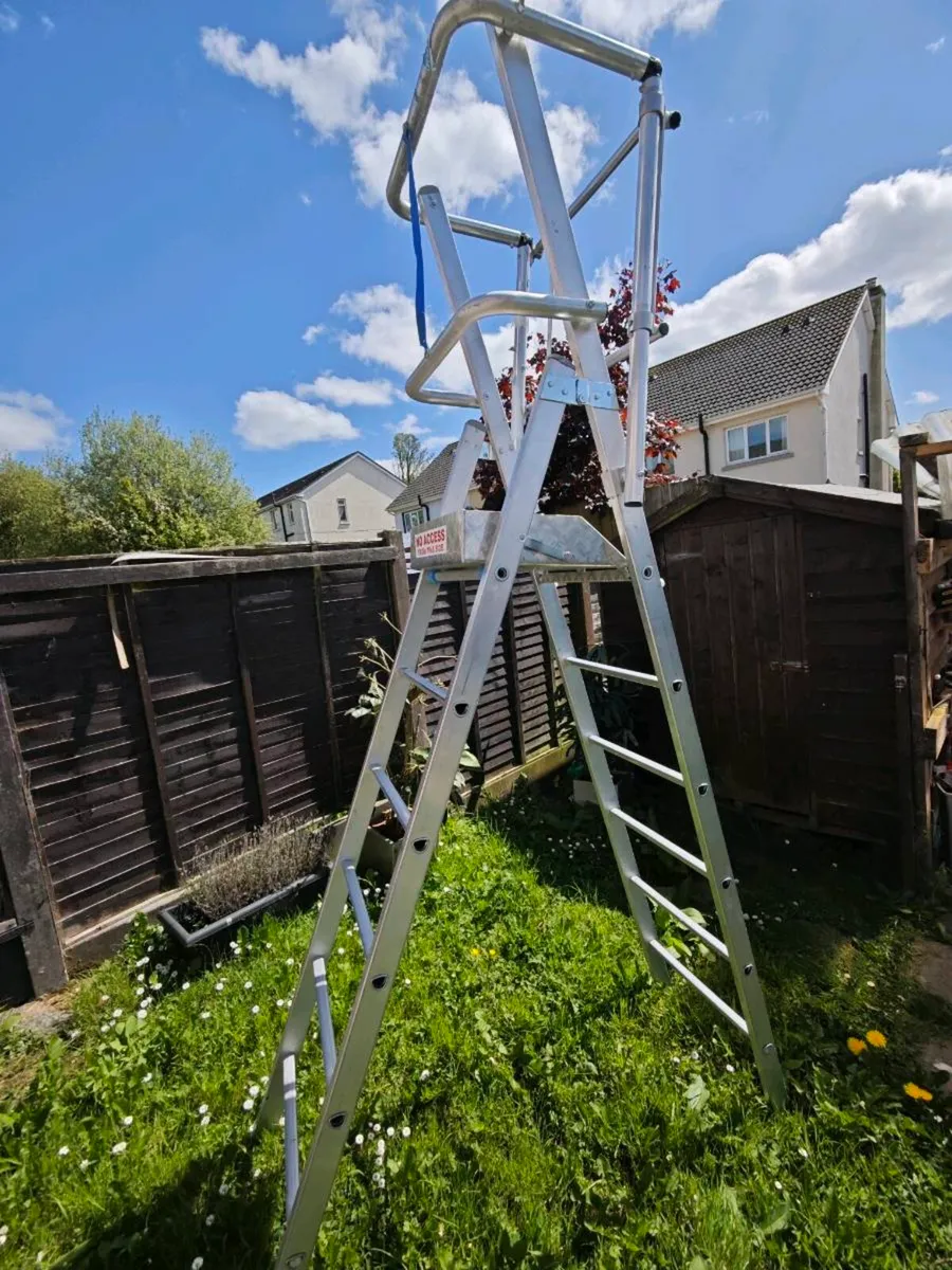 Podium ladder - Image 1
