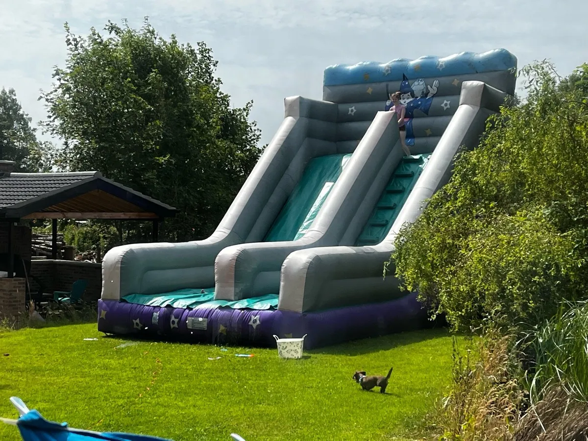 Bouncy Castle slide - Image 3