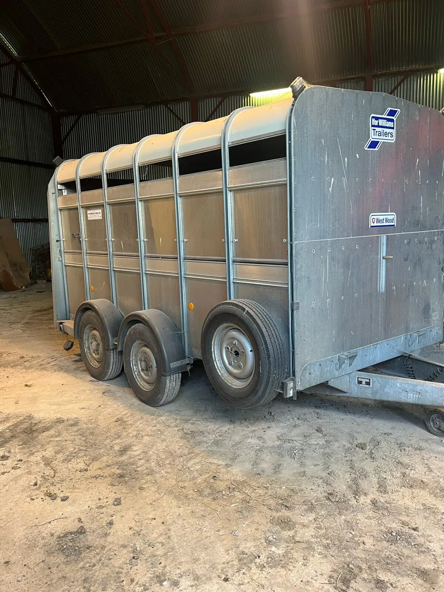 Ifor Williams Trailer - Image 2