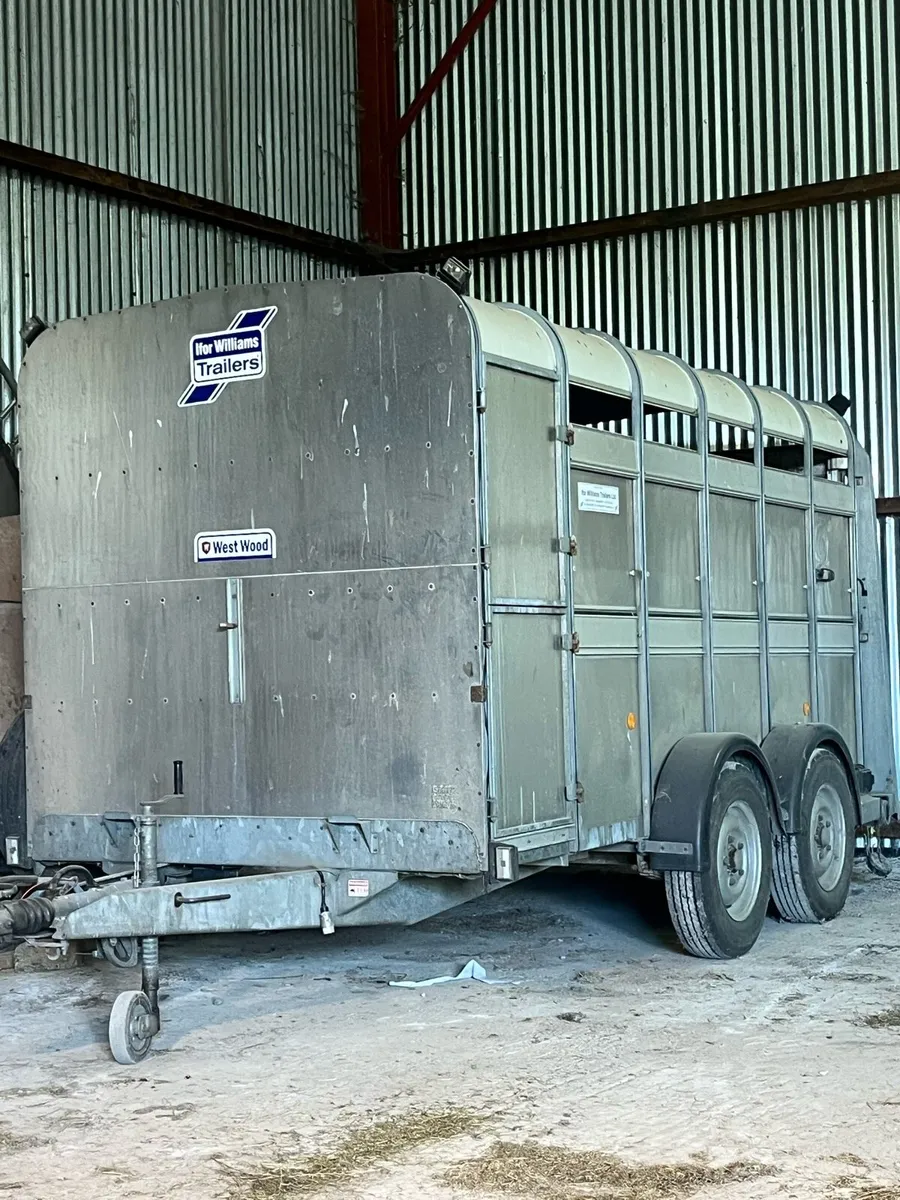 Ifor Williams Trailer - Image 1