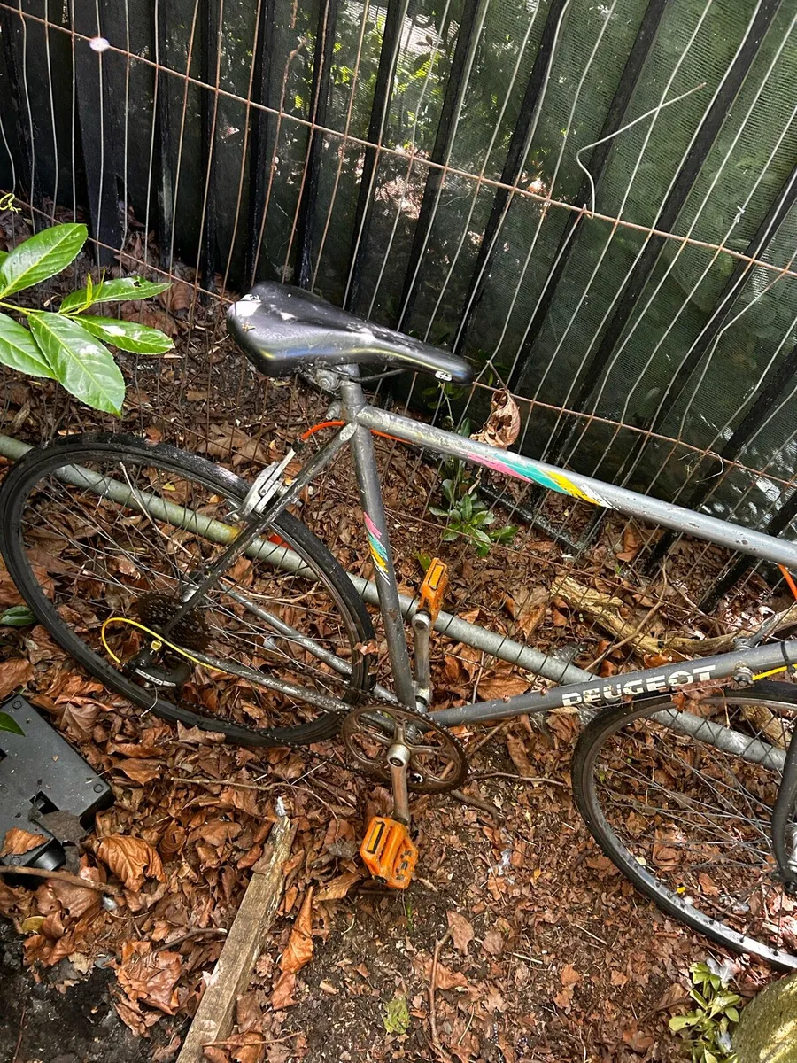 Push bike - Image 2