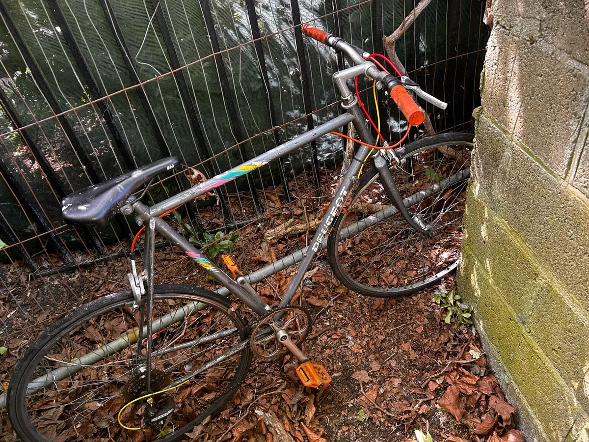 Push bike - Image 1