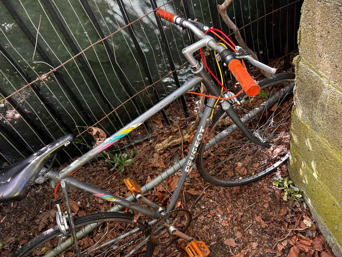 Push bike - Image 3