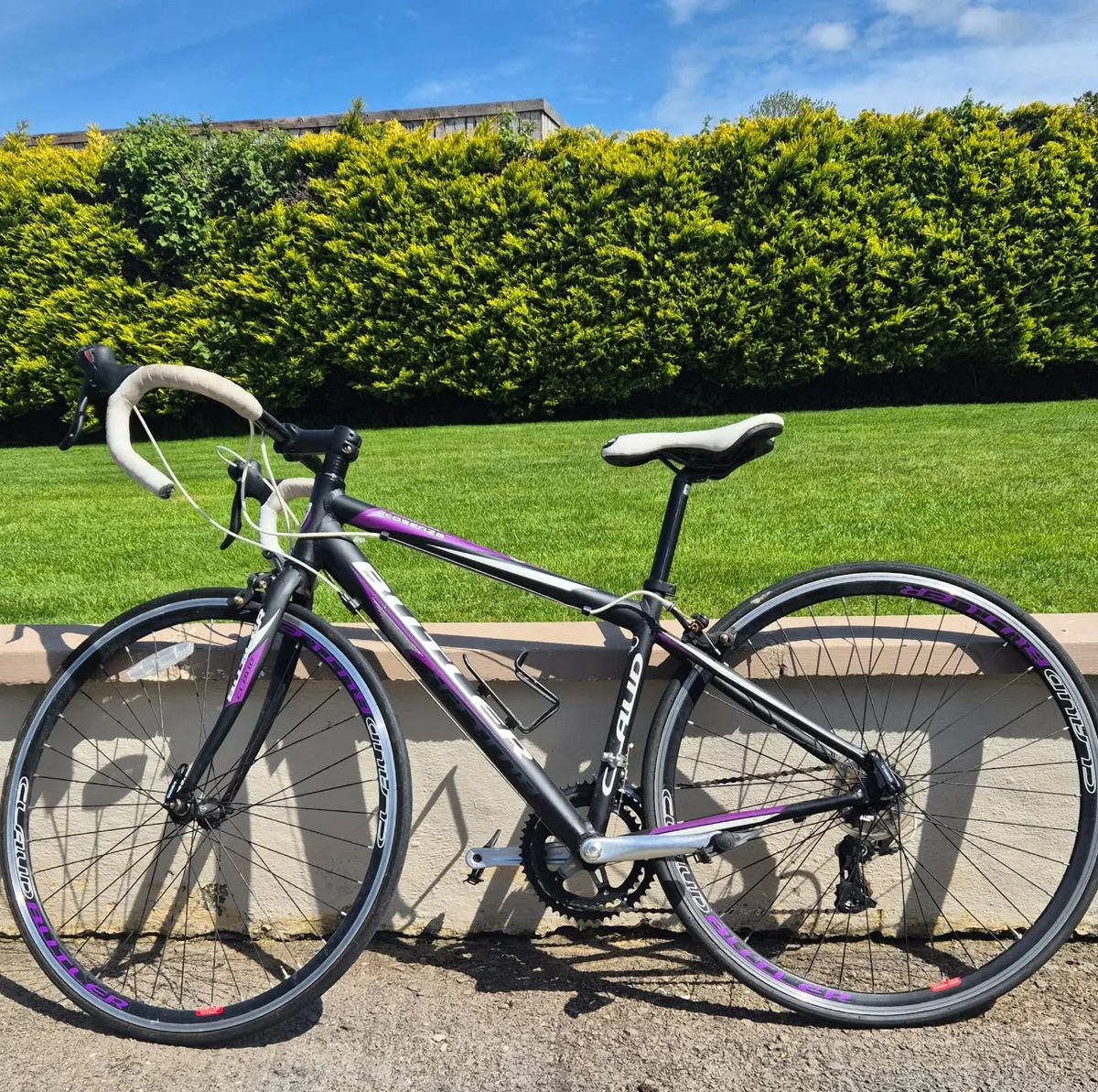 Bicycle - Image 1