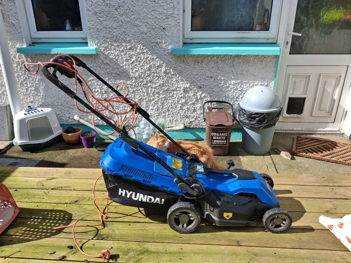 Lawnmower hyundai - Image 3