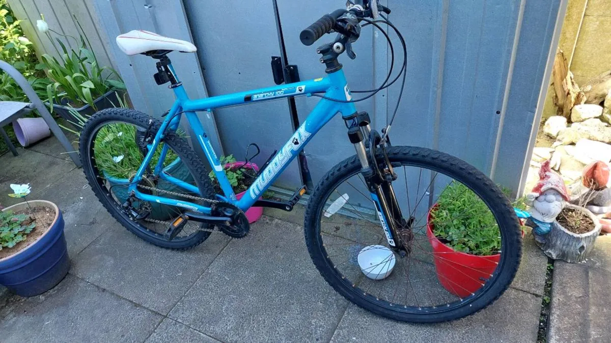 Mountain Bike - Image 1
