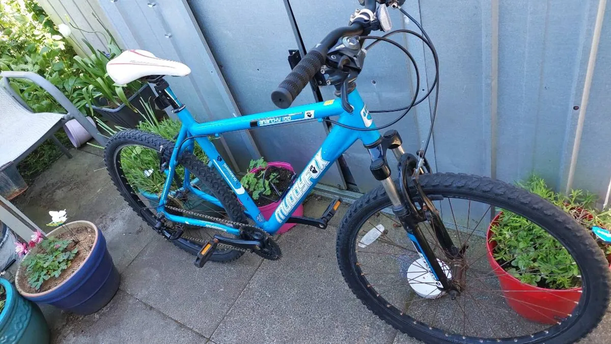 Mountain Bike - Image 3
