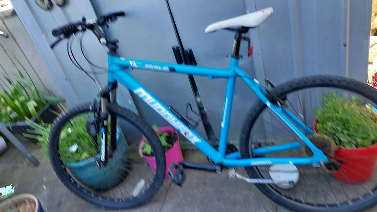 Mountain Bike - Image 4