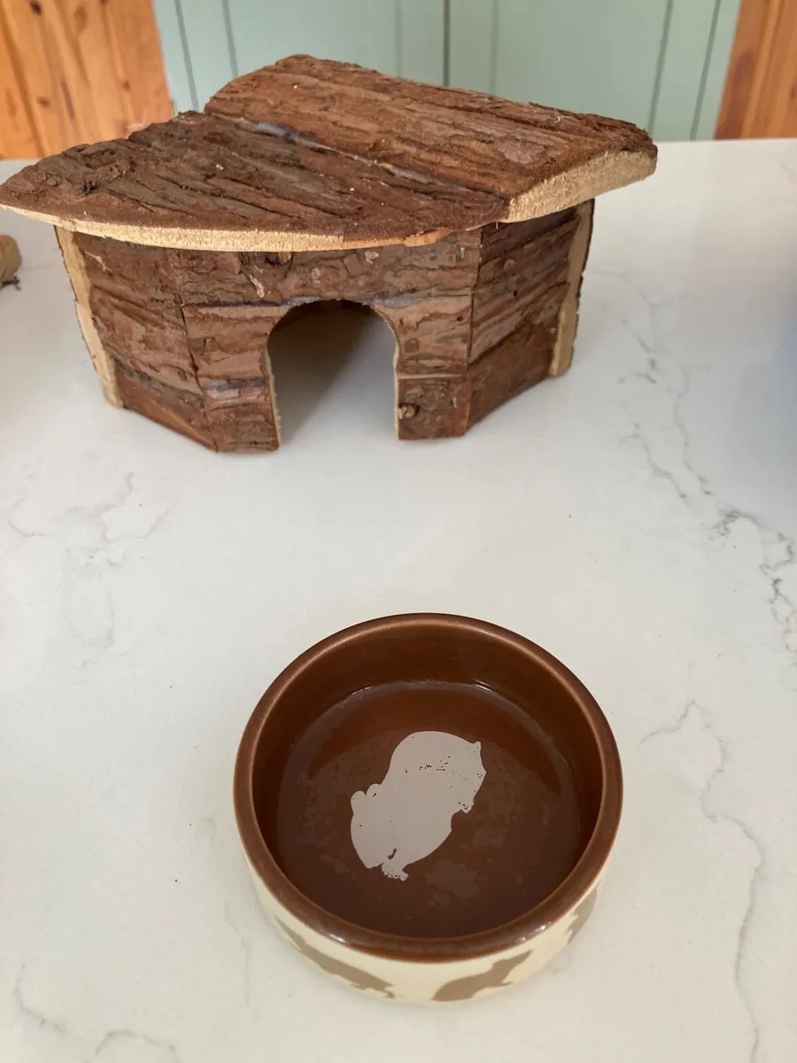 Large hamster cage and accessories - Image 4