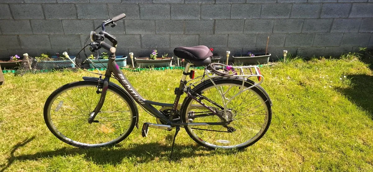 Ladies Bicycle - Image 1