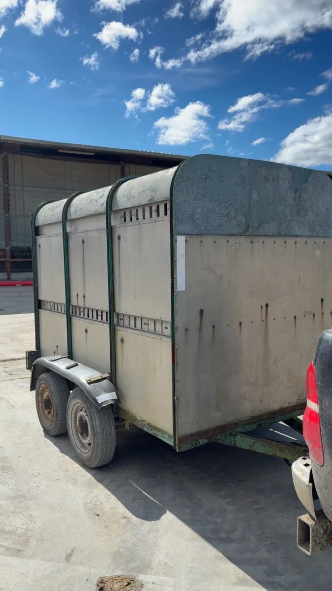 ifor williams 8x5 - Image 1