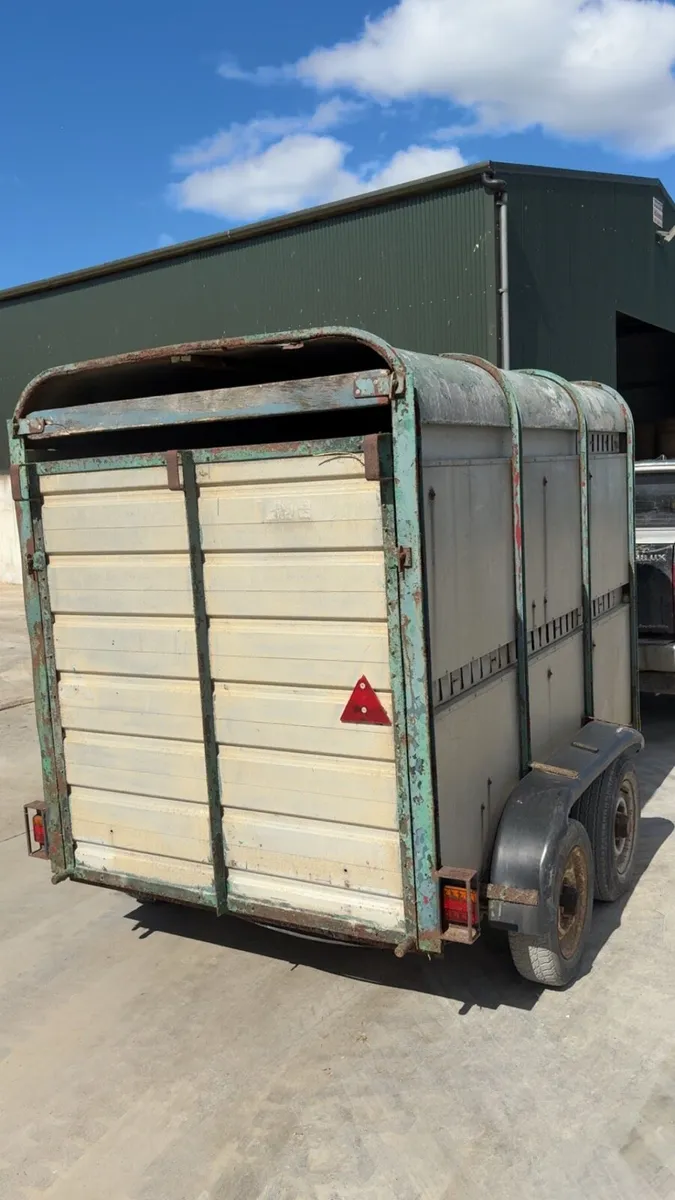 ifor williams 8x5 - Image 2