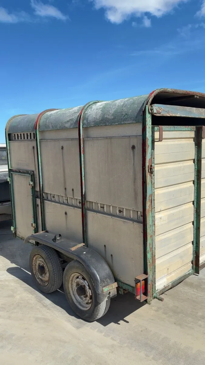 ifor williams 8x5 - Image 3