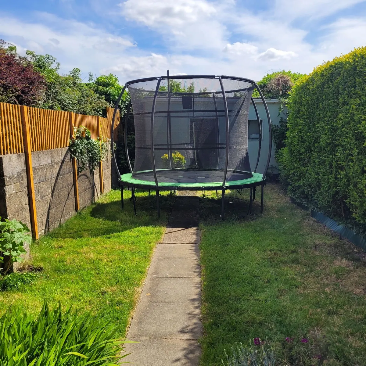 Trampoline - Image 2