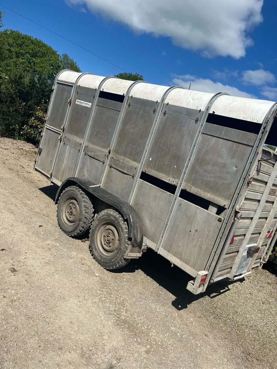 Immaculate 12by5 Ivor Williams trailer - Image 1