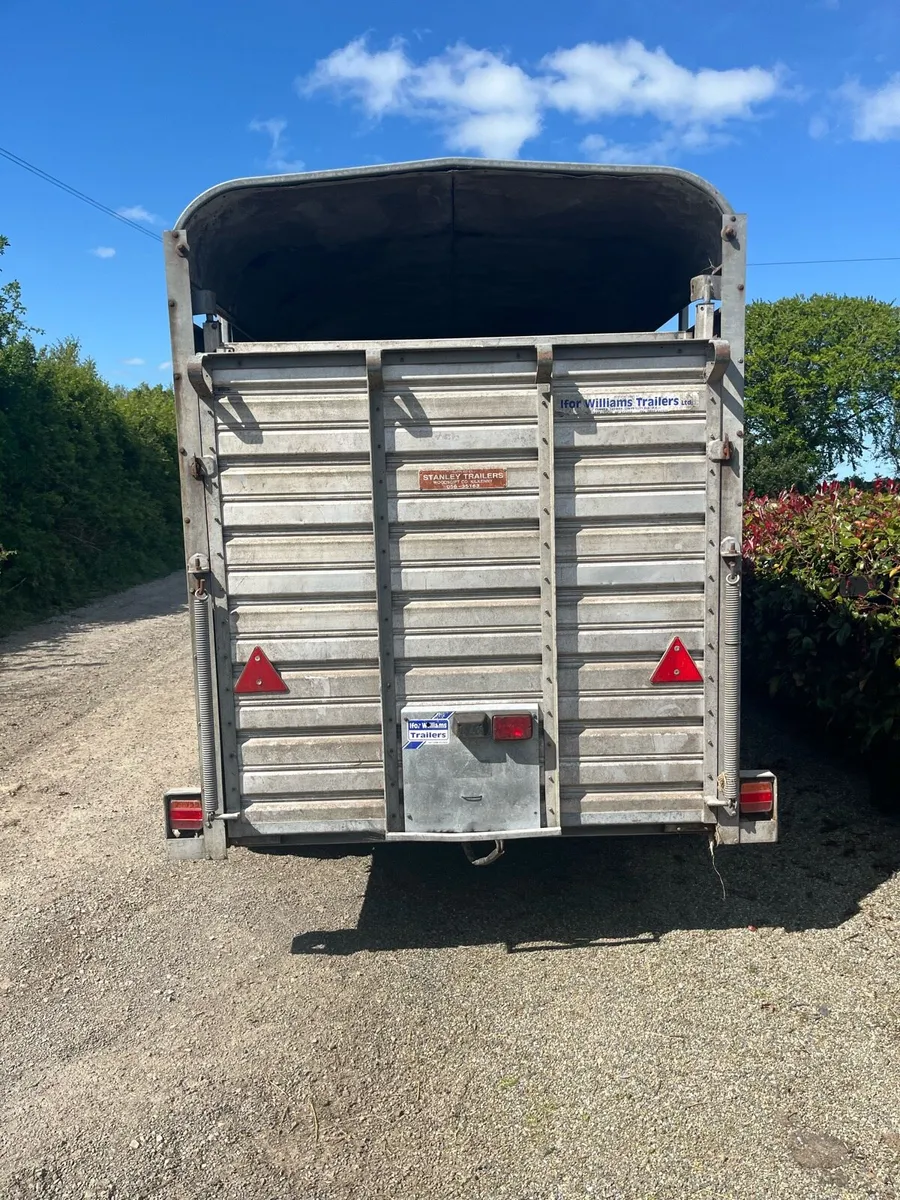 Immaculate 12by5 Ivor Williams trailer - Image 2
