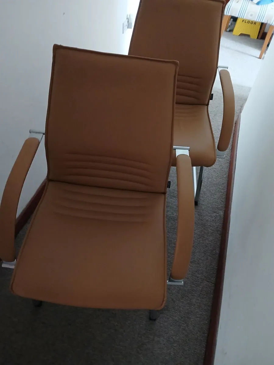 Chairs 💺 💺  cantiliver new ...full leather  del - Image 3