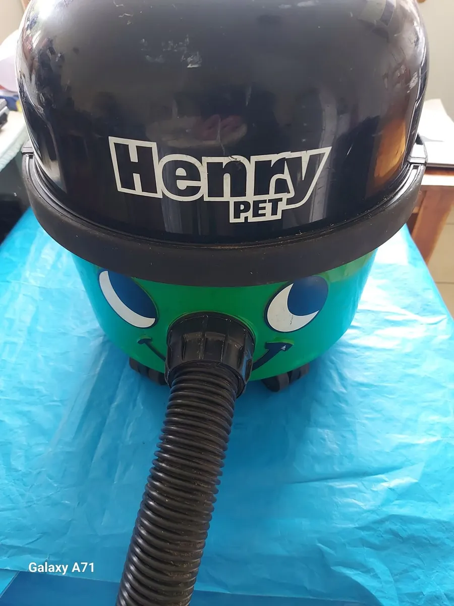 HENRY PET200-11 Vacuum Cleaner Excellent condition - Image 1