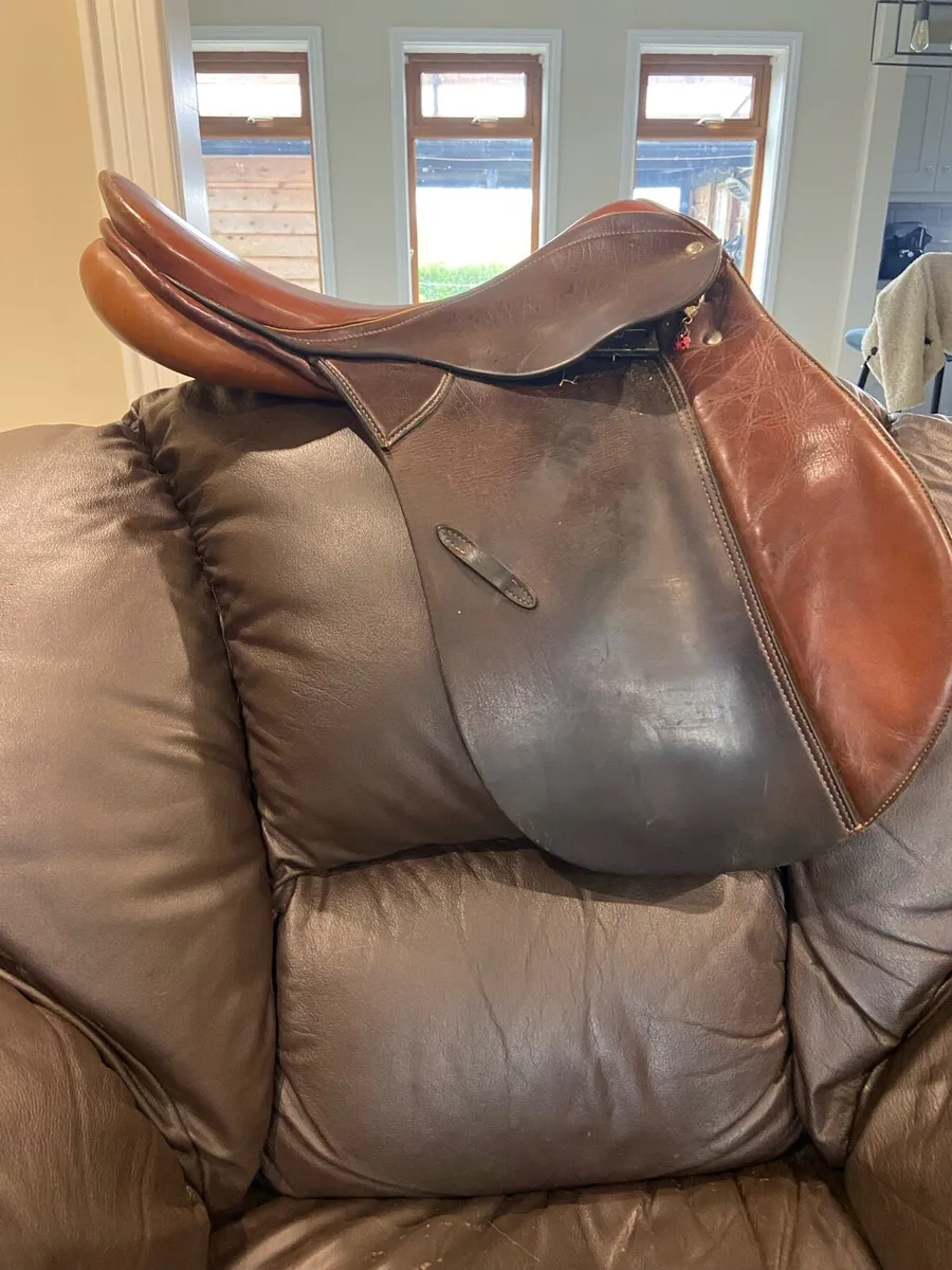 Saddle - Image 1