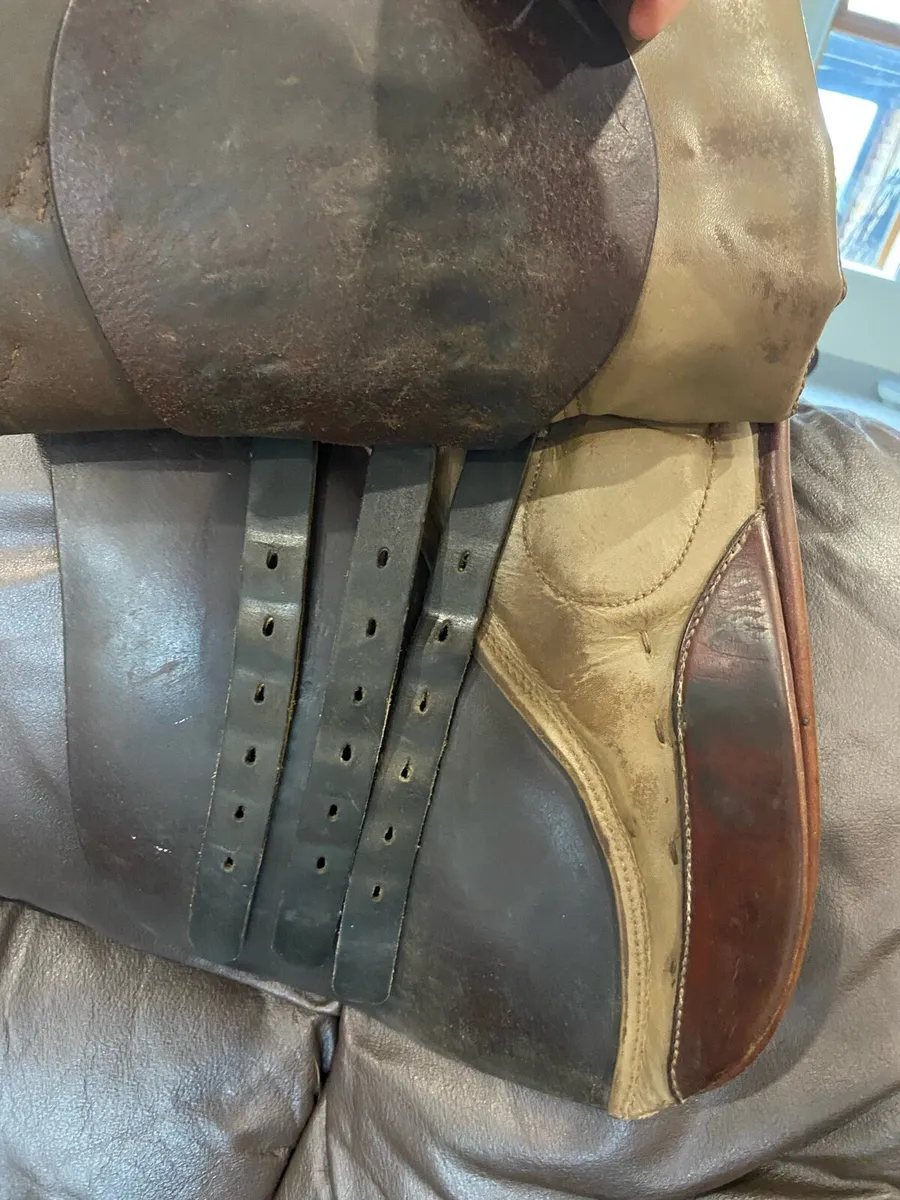 Saddle - Image 3