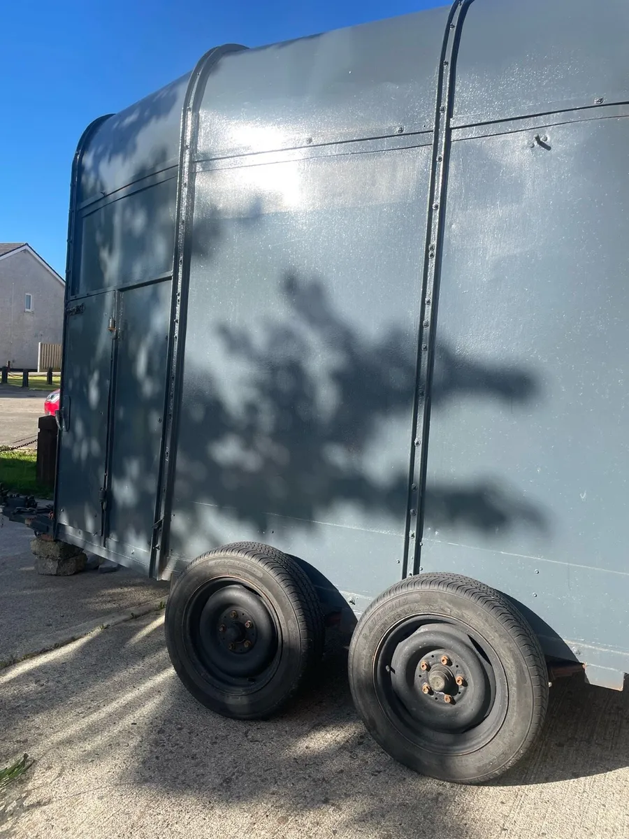 Horse box - Image 4