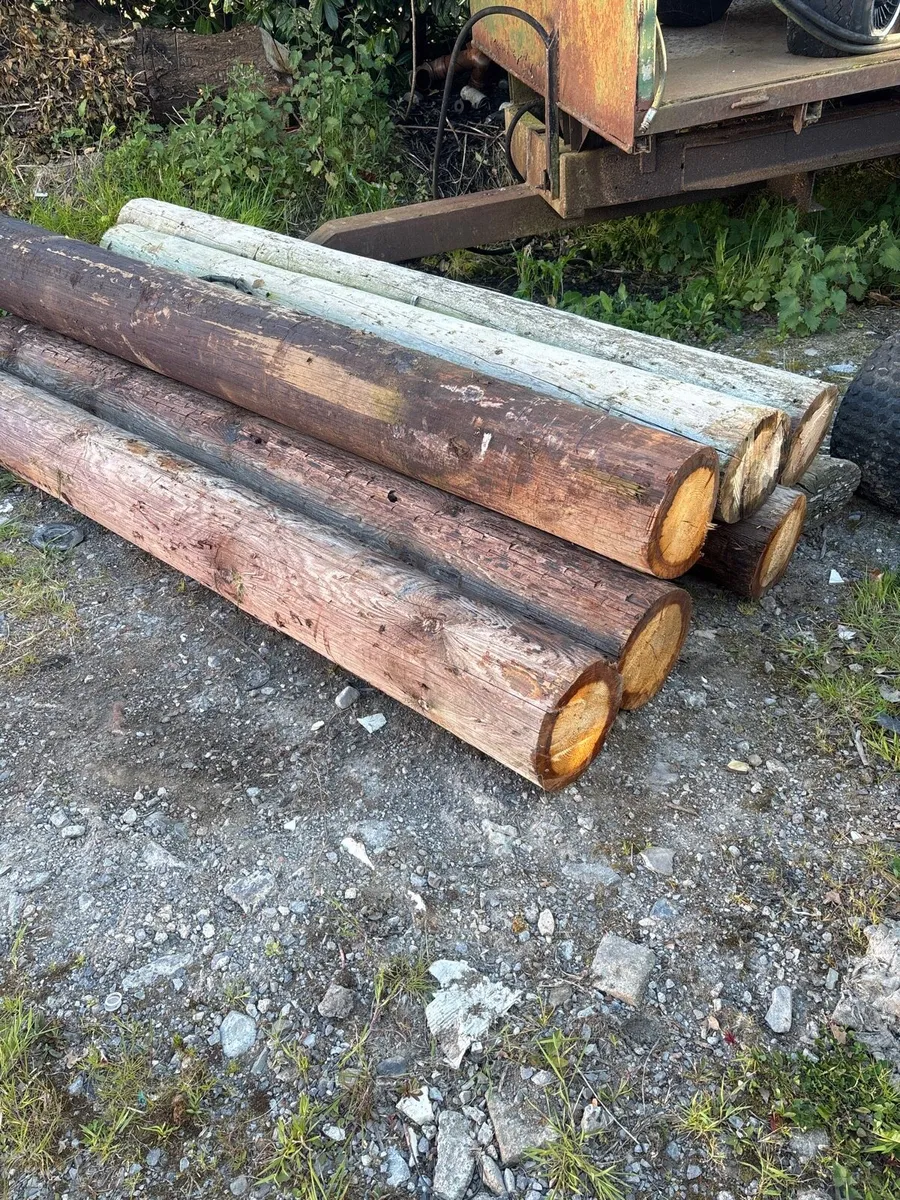 Strainer post fencing