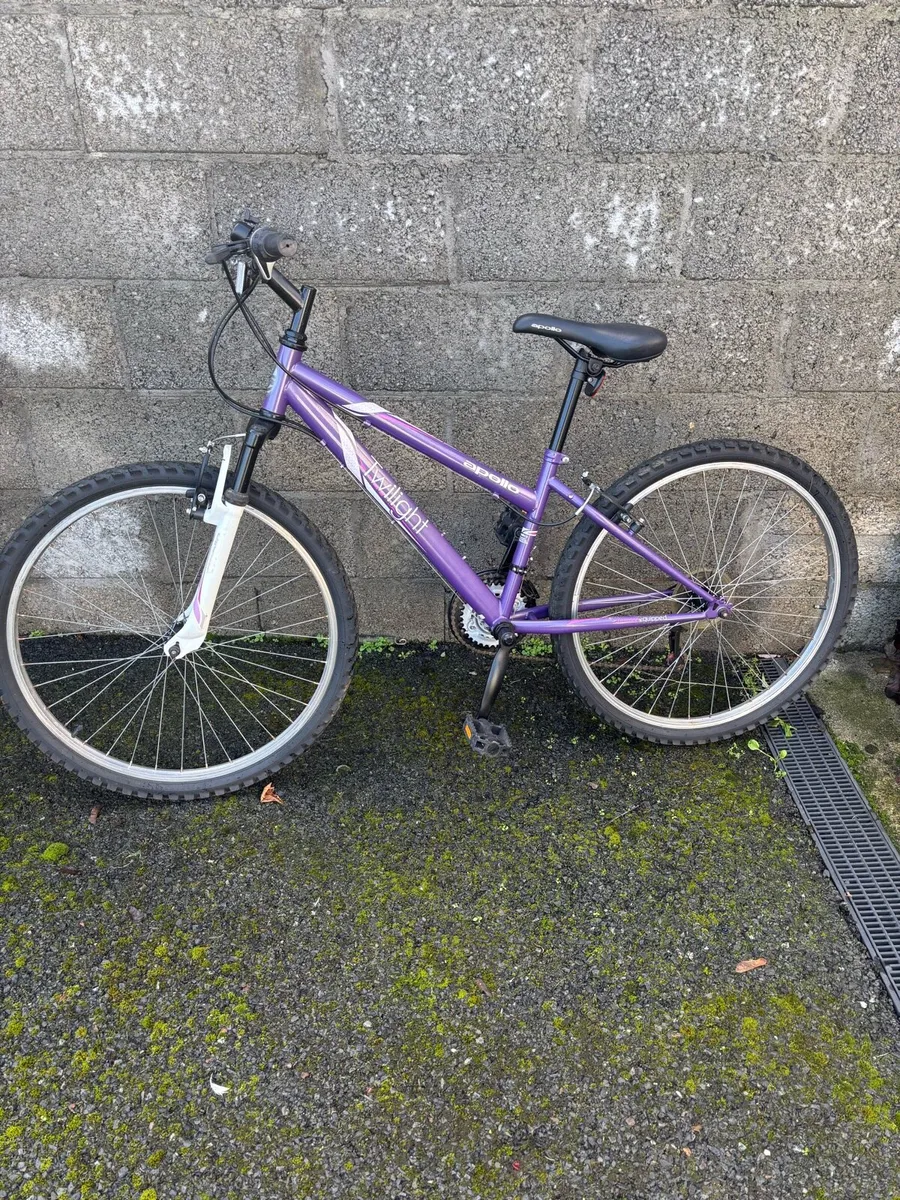 Ladies Bicycle - Image 1