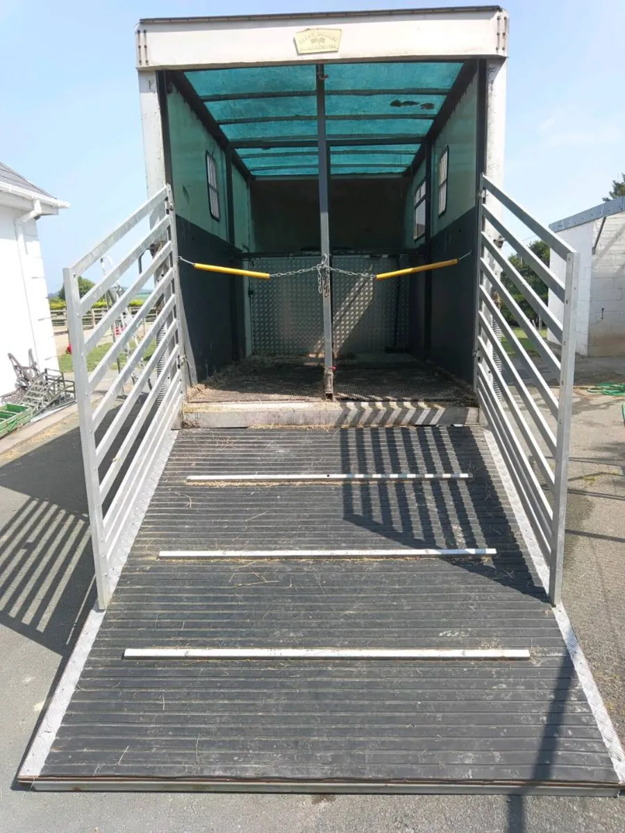 2004 Transit horse box - Image 4