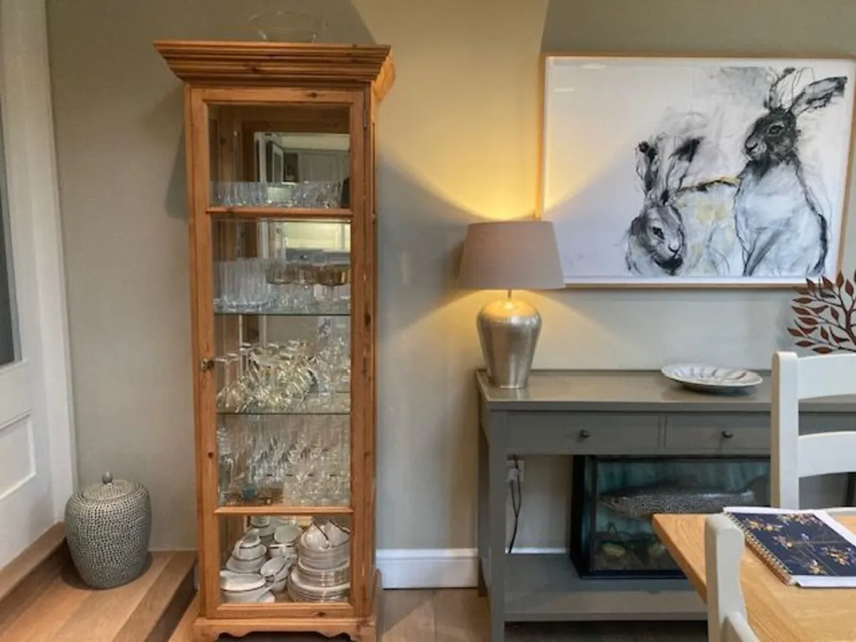 Glass Cabinet - Image 3