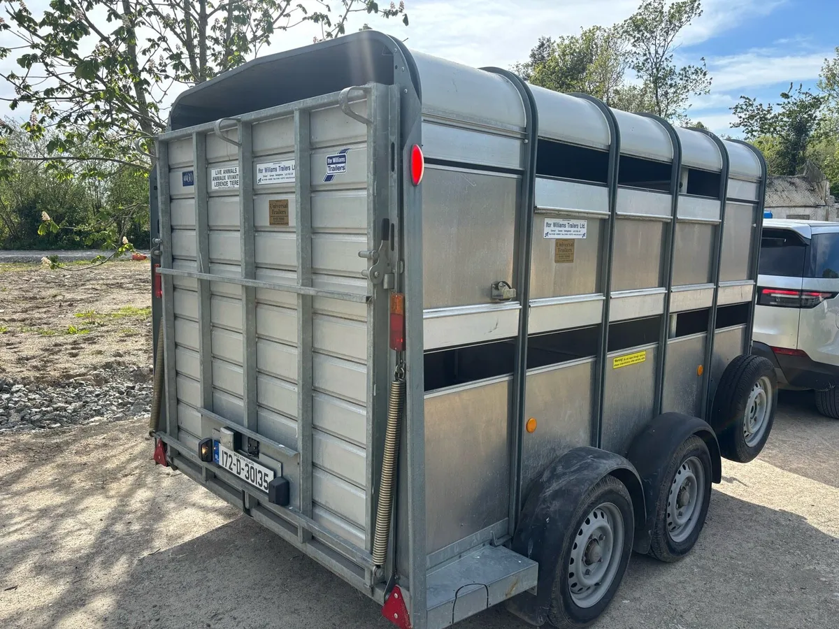 Ifor Williams 10x6 Cattle Trailer - Image 4