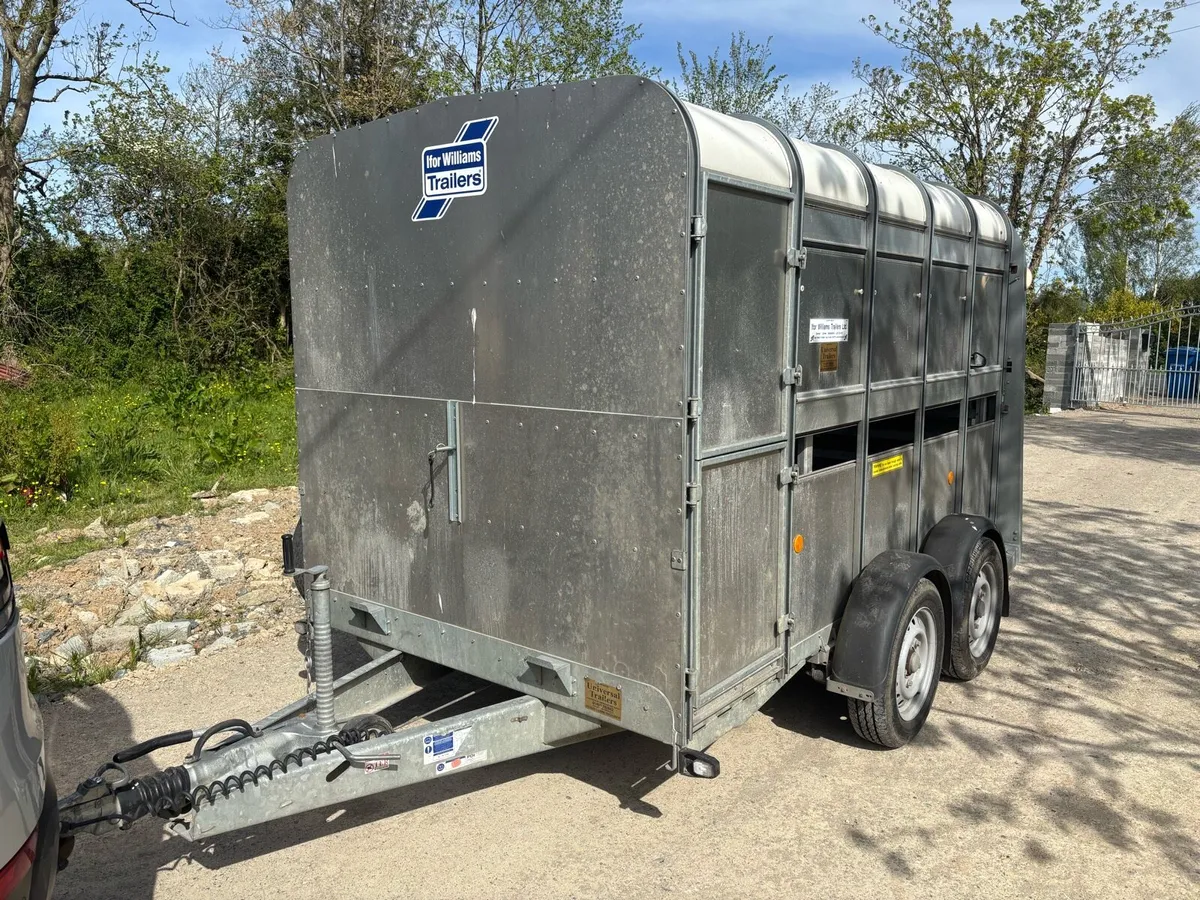 Ifor Williams 10x6 Cattle Trailer - Image 2