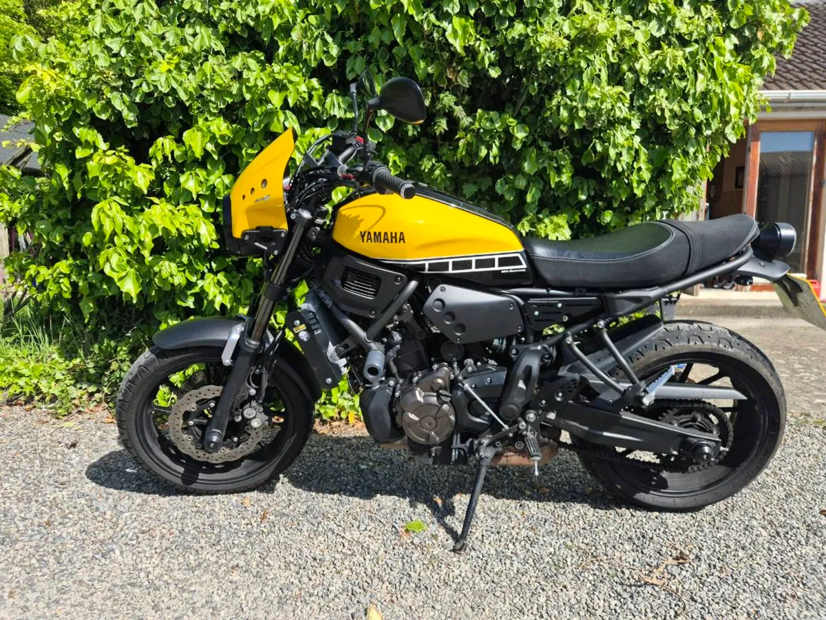 Yamaha Xsr - Image 2
