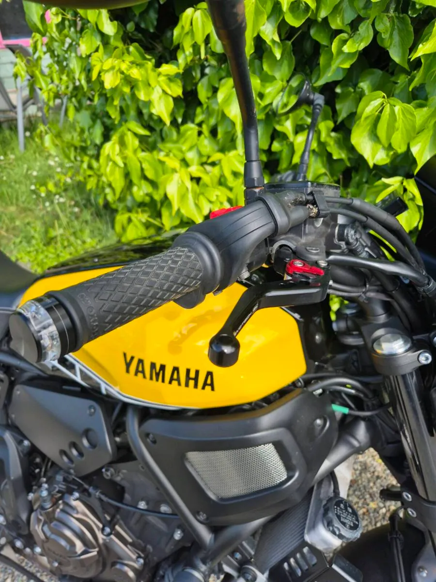 Yamaha Xsr - Image 3
