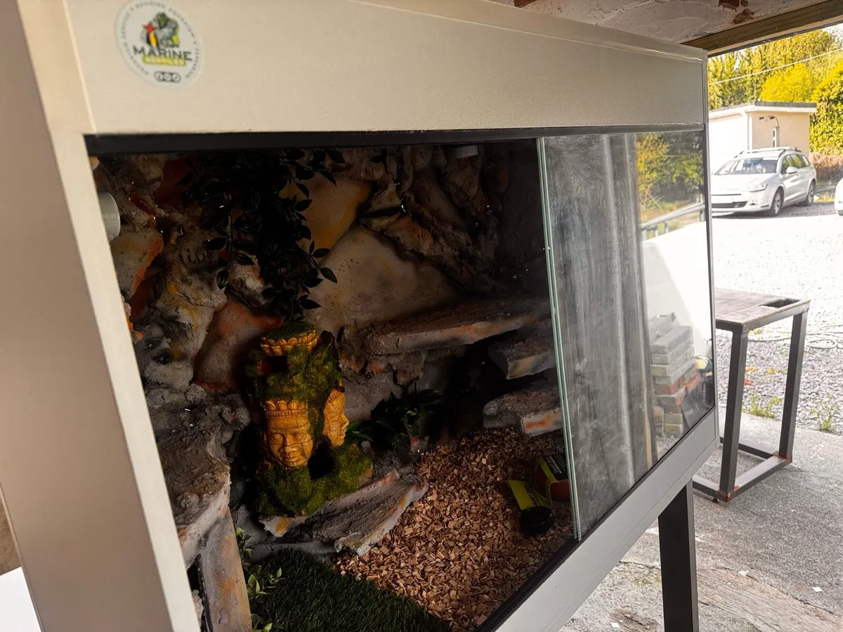 Custom Terrariums - Image 1