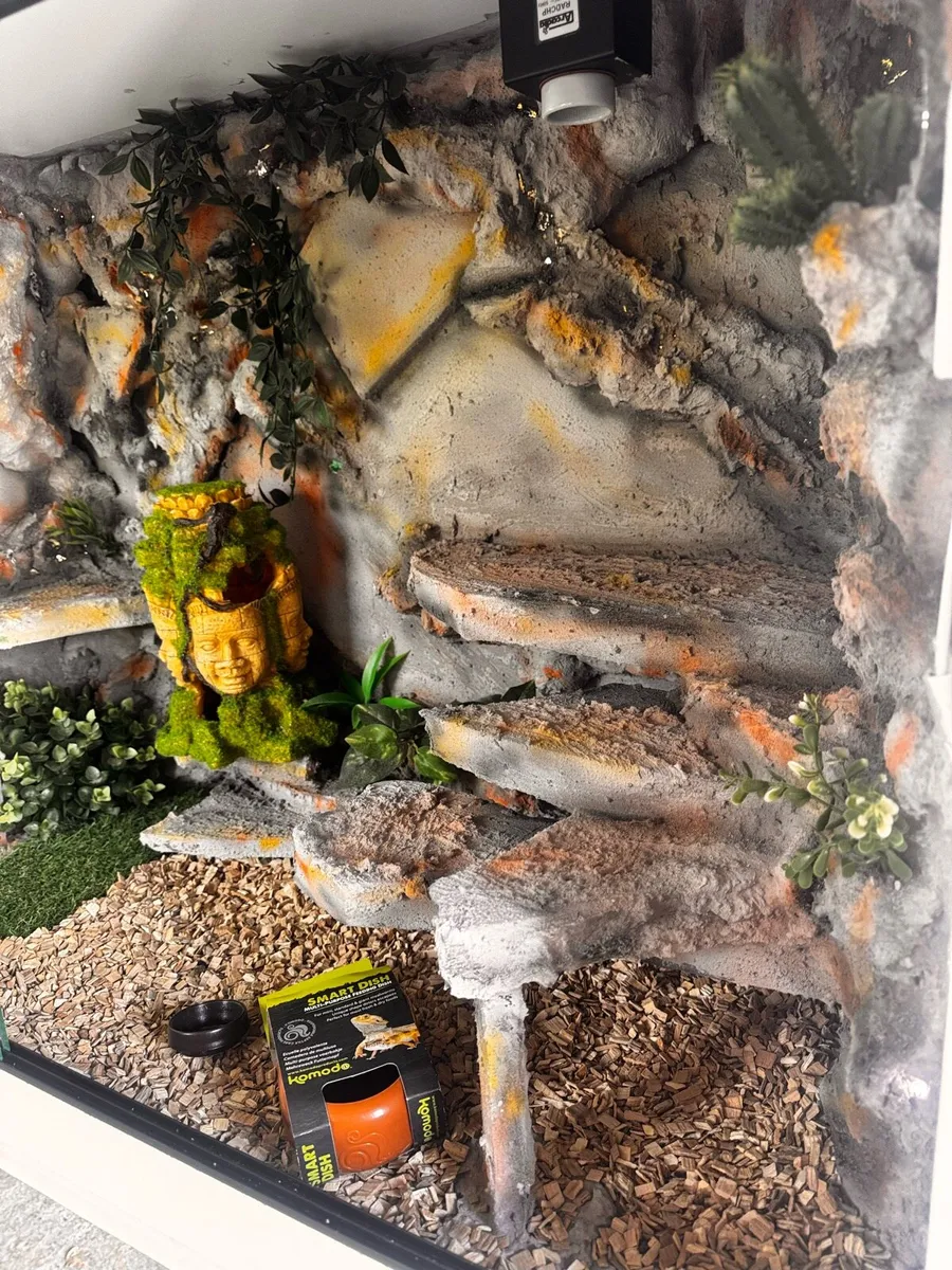 Custom Terrariums - Image 2