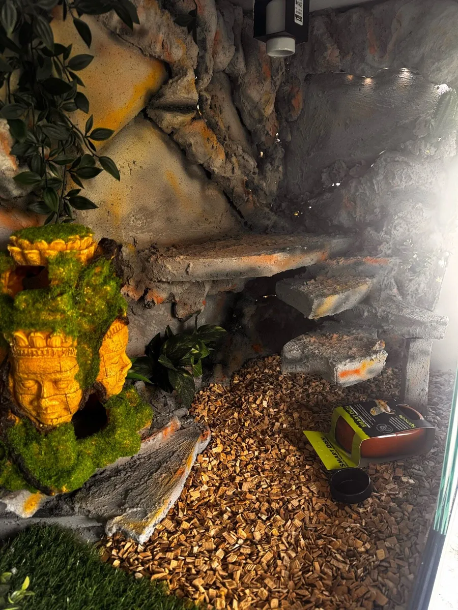 Custom Terrariums - Image 3