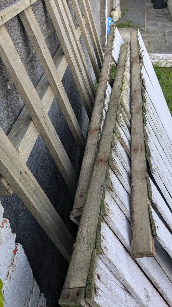 Free wood - Image 2