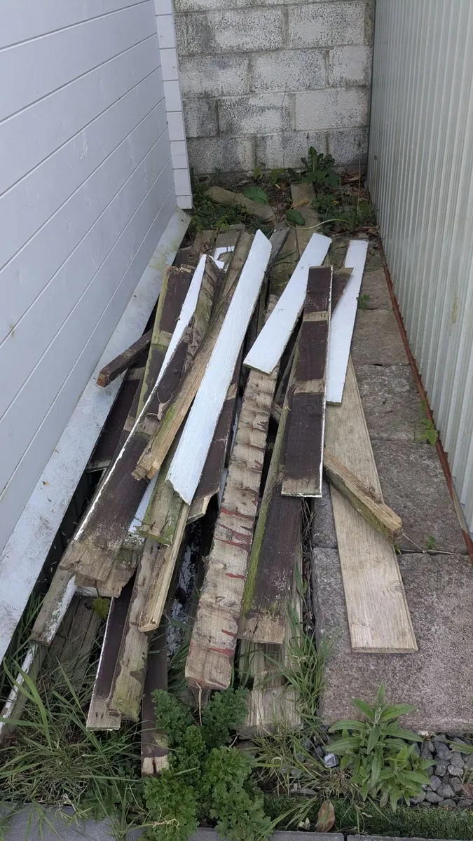 Free wood - Image 3